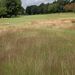 <Captains Charity Day