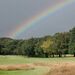 <Captains Charity Day