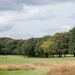 <Captains Charity Day